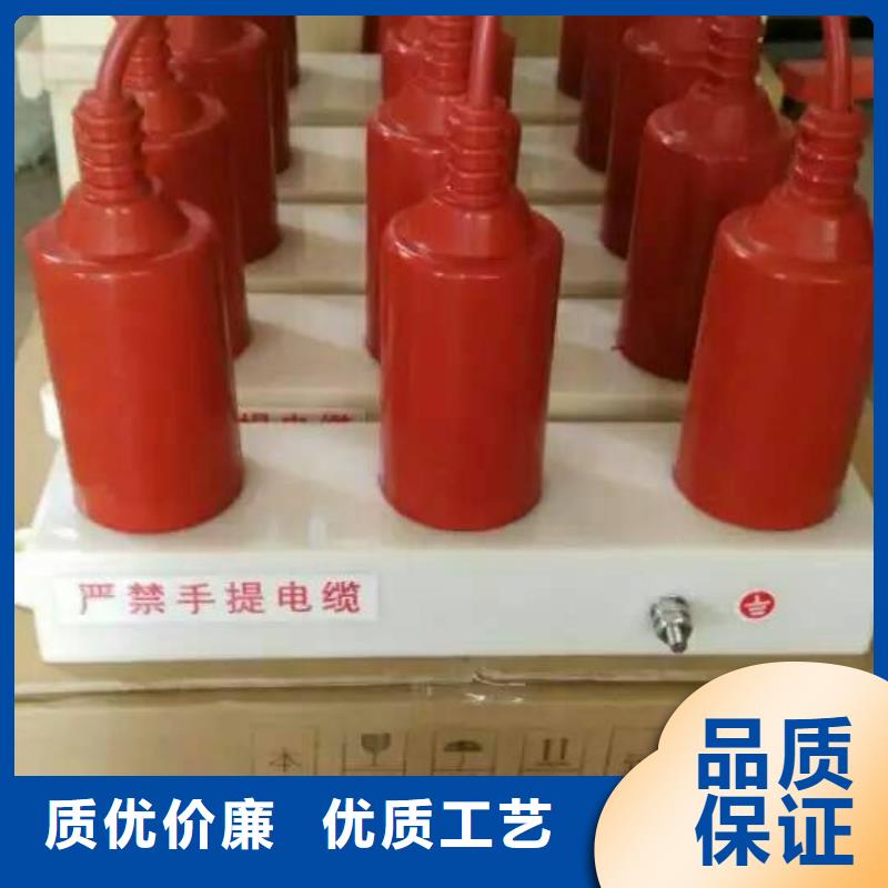【羿振電力設備】過電壓保護器TBP-C-10.5/131