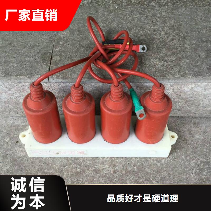 【羿振牌】〖過電壓保護器〗TBP-B-42F/280 生產基地