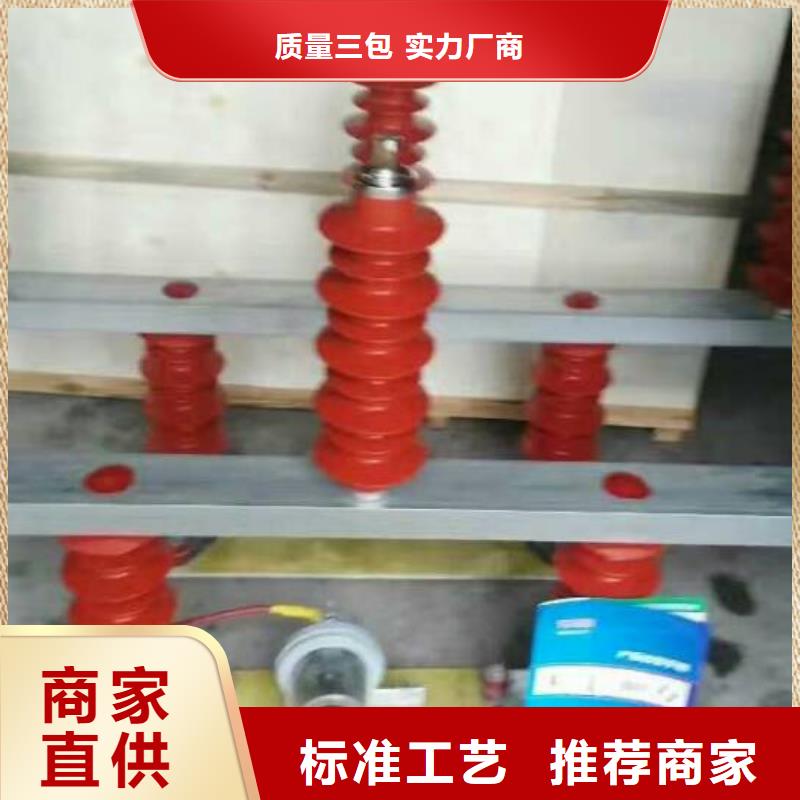【羿振電力設備】過電壓保護器TBP-C-10.5/131