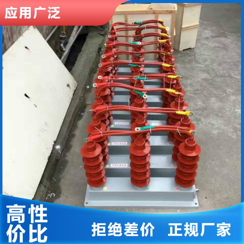 【】〖過電壓保護器〗BSTG-A-7.6/800廠家客戶好評