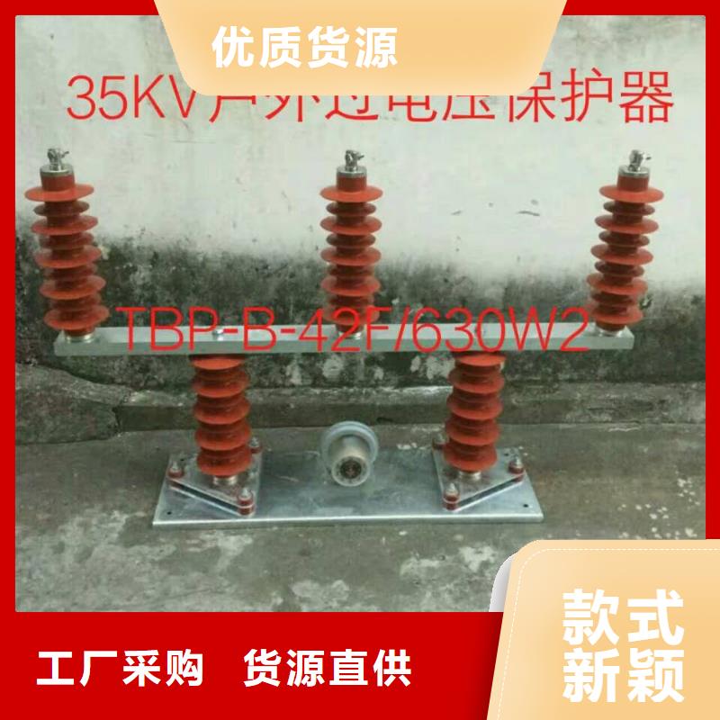 【羿振電力設備】過電壓保護器TBP-C-10.5/131