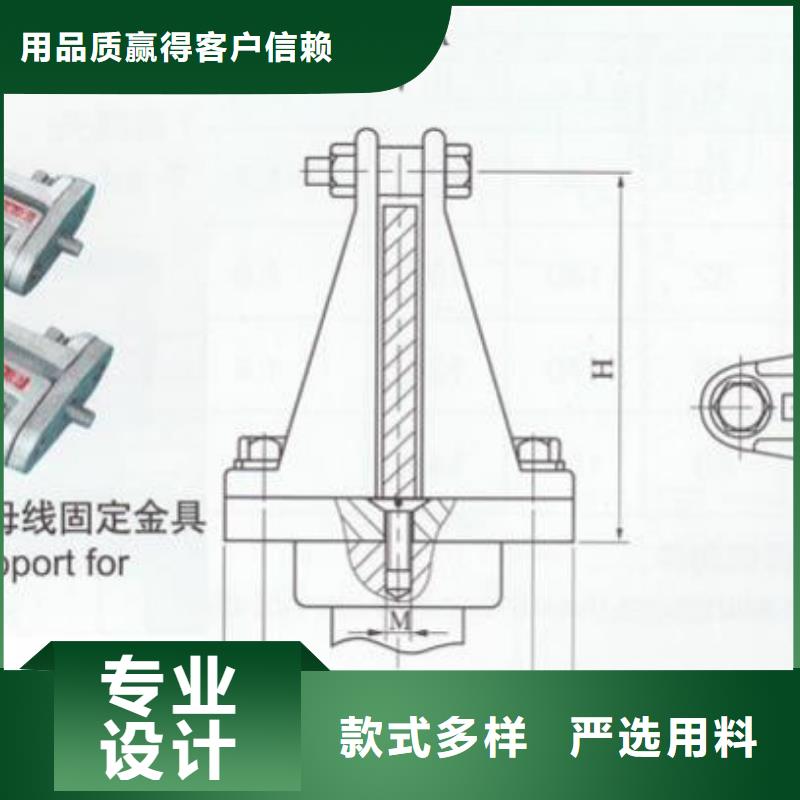 ZSW-110/8.5支柱絕緣子【上海羿振電力設備有限公司】
