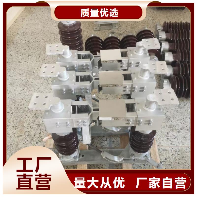 【】高壓隔離開關(guān)GW1-10KV/400您身邊的廠家