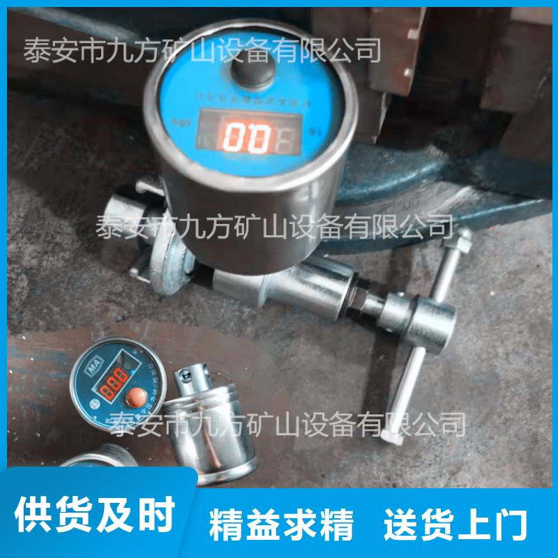 DZ-60單體支柱測壓儀定制價格專業廠家