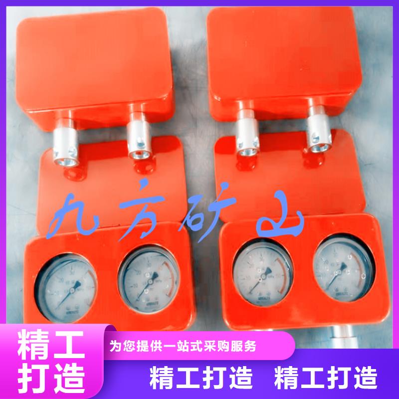 綜采雙針壓力表常用指南準(zhǔn)時(shí)交付