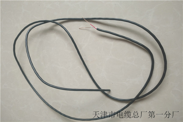 呼叫通信電纜HJYJVP2/SA種類齊全廠家型號齊全