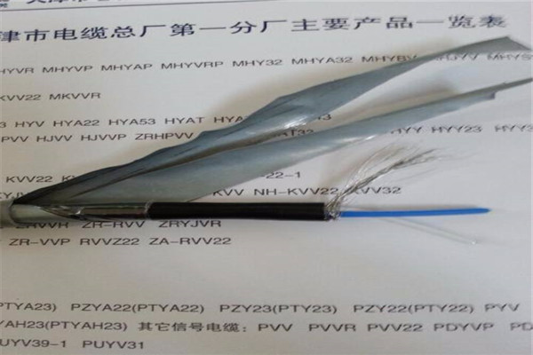 誠信為本陵水縣廠家熱賣NH-RVS 2X2.5耐高溫多少度廠家