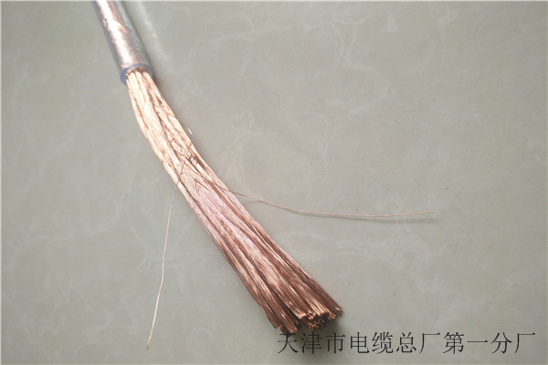 BPYJVPX12R-TK變頻電纜工廠直銷3X70+2X35源頭廠家