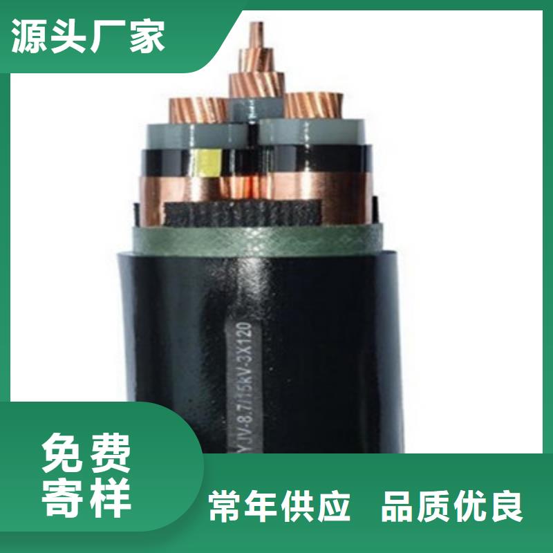 現貨供應阻燃2芯控制電纜_誠信廠家