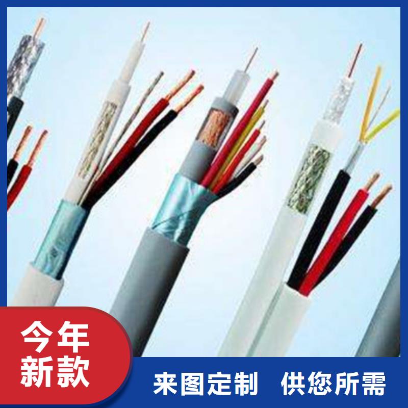 現貨供應阻燃2芯控制電纜_誠信廠家