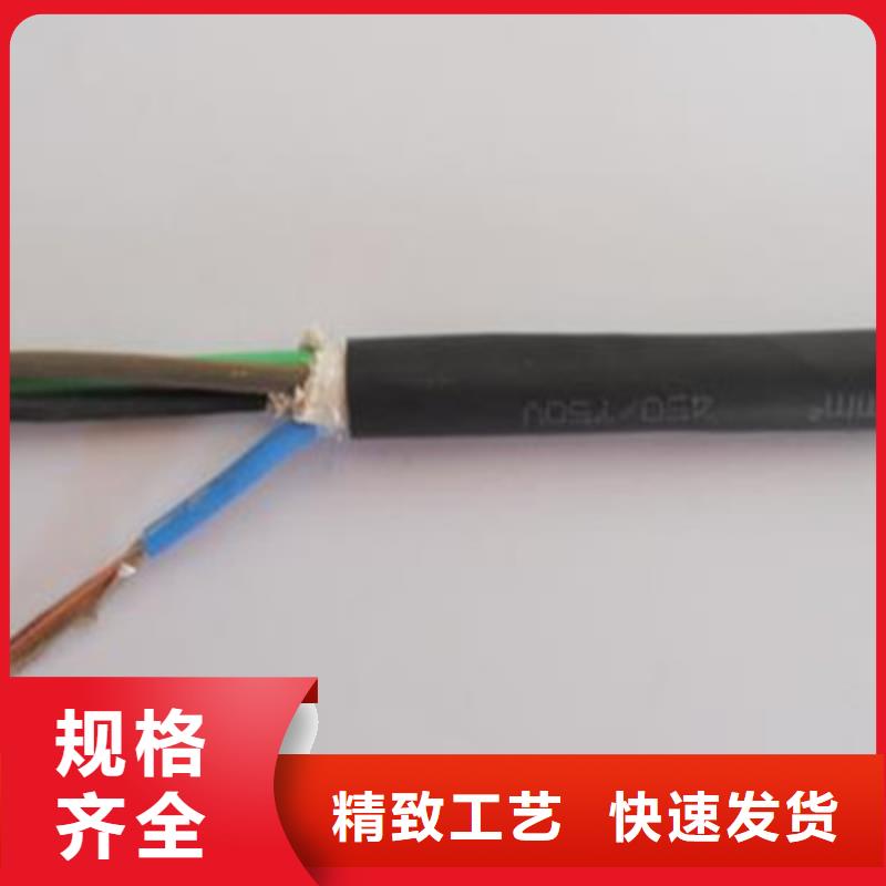 特種電纜-【電力電纜】現貨充足用品質說話
