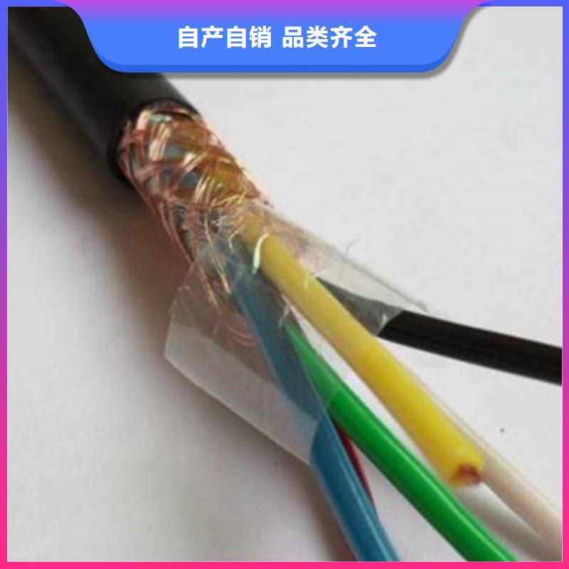 河南屏蔽電纜生產(chǎn)廠家實(shí)力工廠放心選購(gòu)實(shí)體廠家支持定制