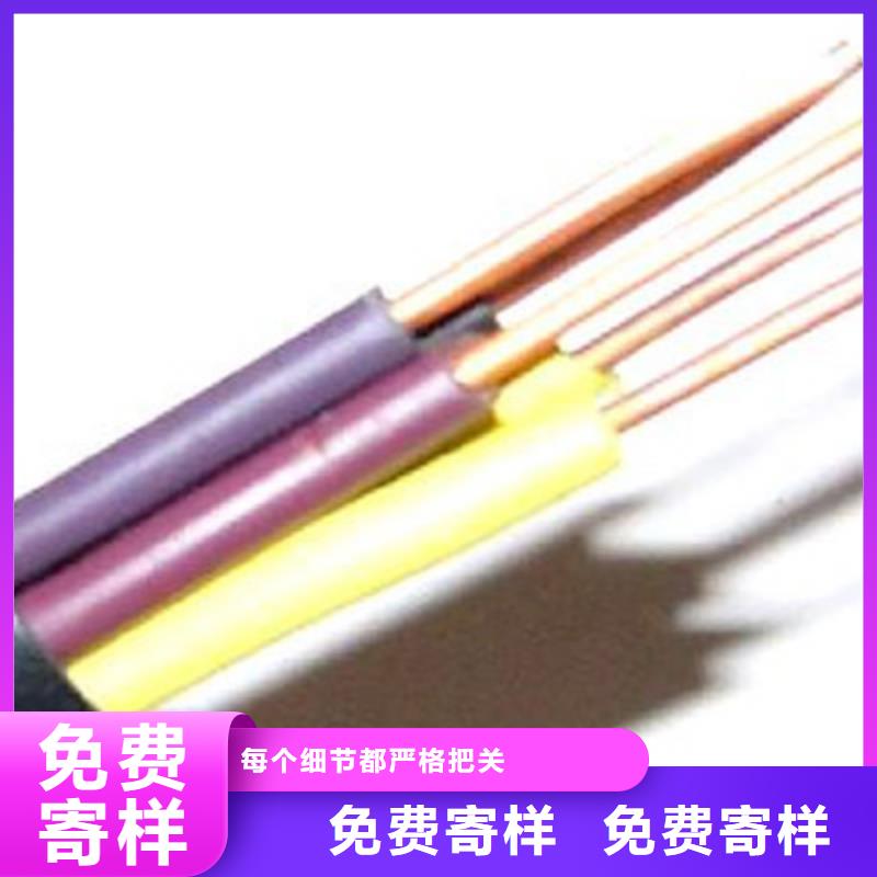 西藏WDZ-RYJ 6平方電線廠家放心購