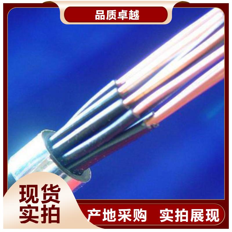 信譽好的ZR-DJYPVP32-1X2X1.0廠家