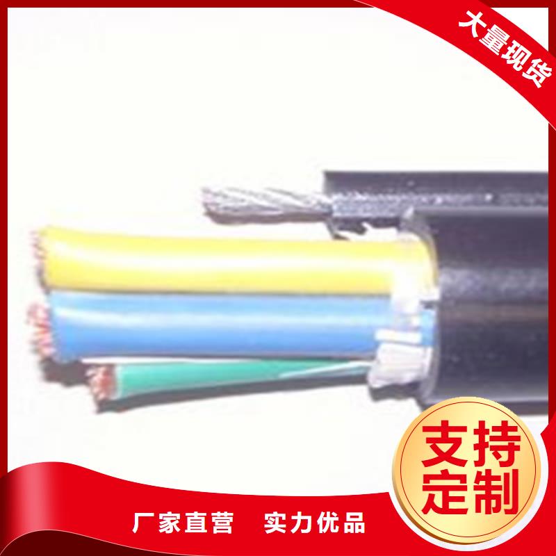 西藏WDZ-RYJ 6平方電線廠家放心購