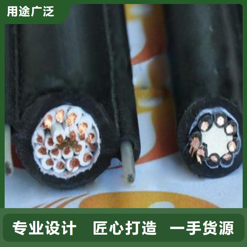 懷化RVSZR對扭軟芯電纜訂購熱線