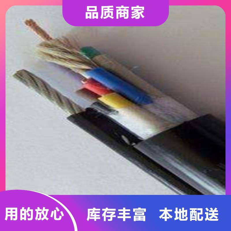 鋼絲鎧裝電纜SYP-32-50-3-鋼絲鎧裝電纜SYP-32-50-3靠譜源頭實體廠商