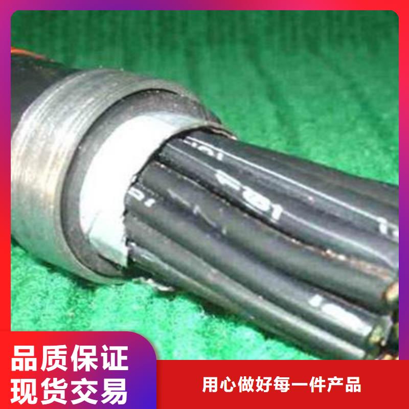 特種電纜,阻燃電纜廠家品質過硬當地制造商