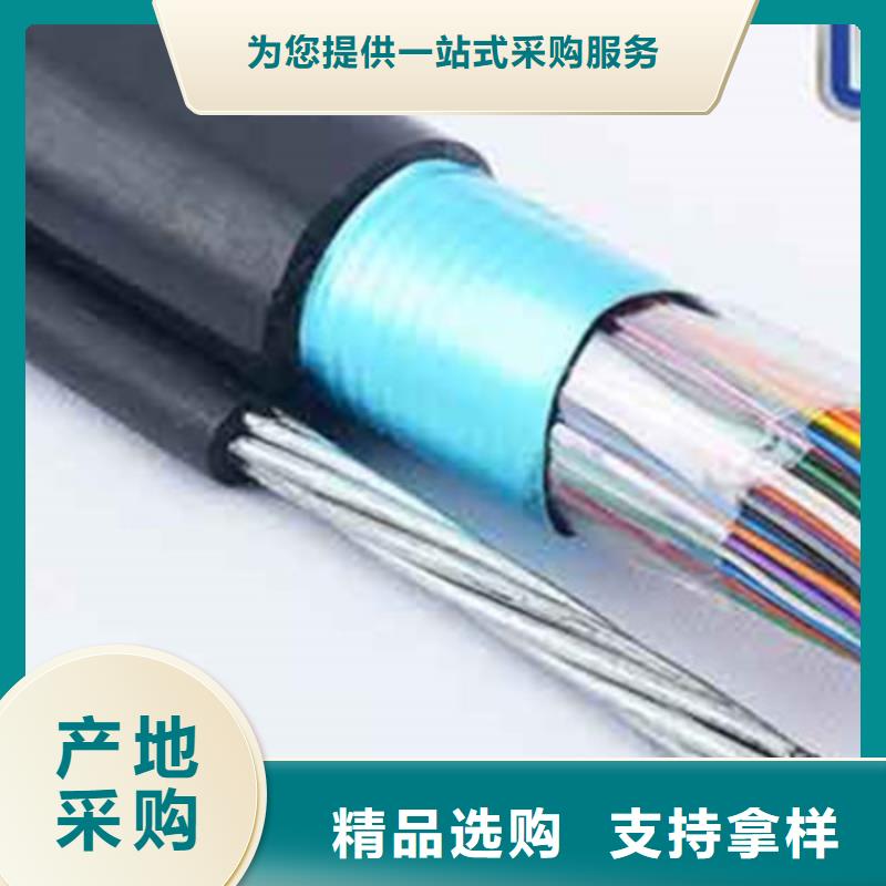 遼源CC-LINK FANC-SB紫色通訊電纜