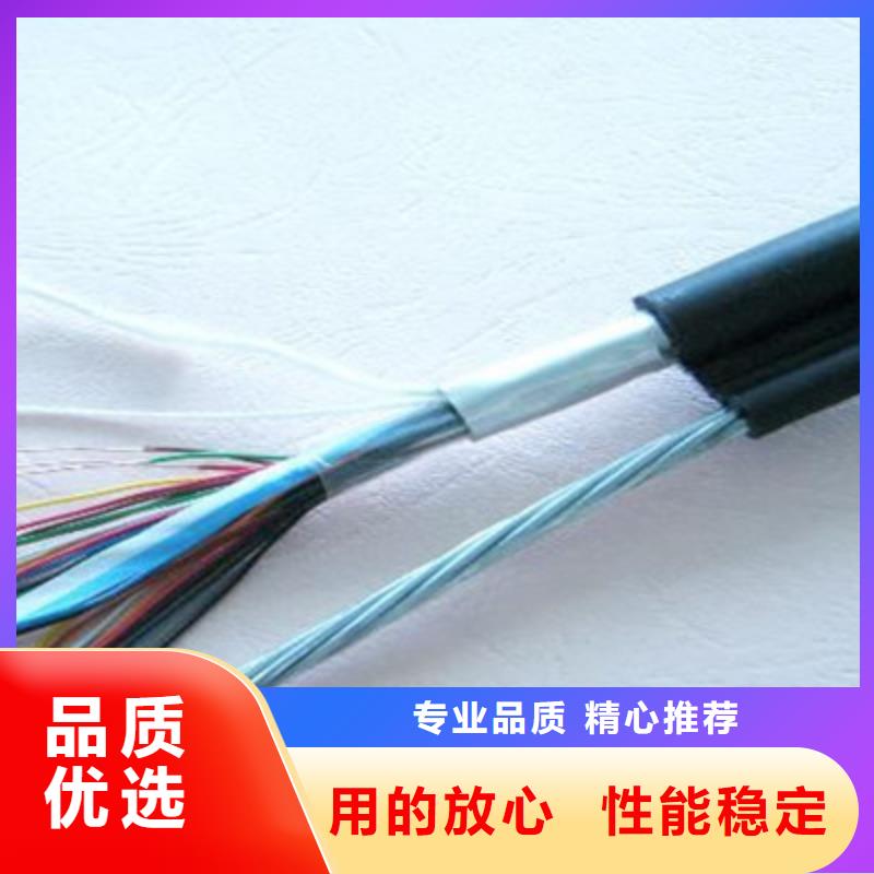 遼源CC-LINK FANC-SB紫色通訊電纜