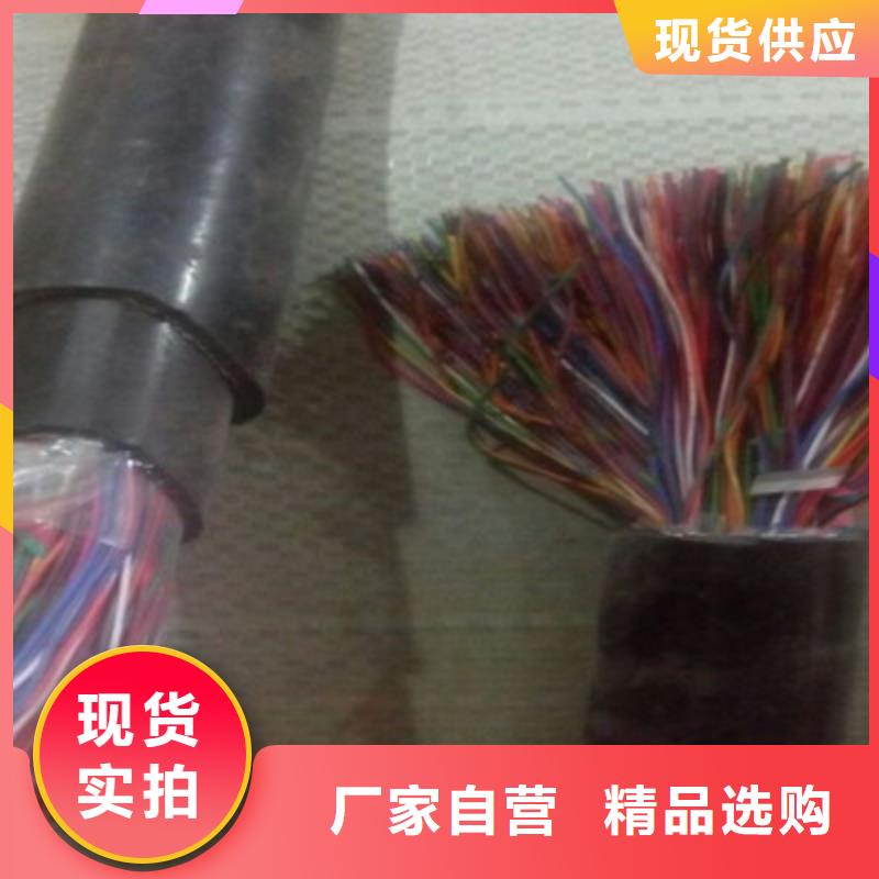 定安縣阻燃鎧裝屏蔽網線ZRA-HSGWPP22廠家供應當地品牌