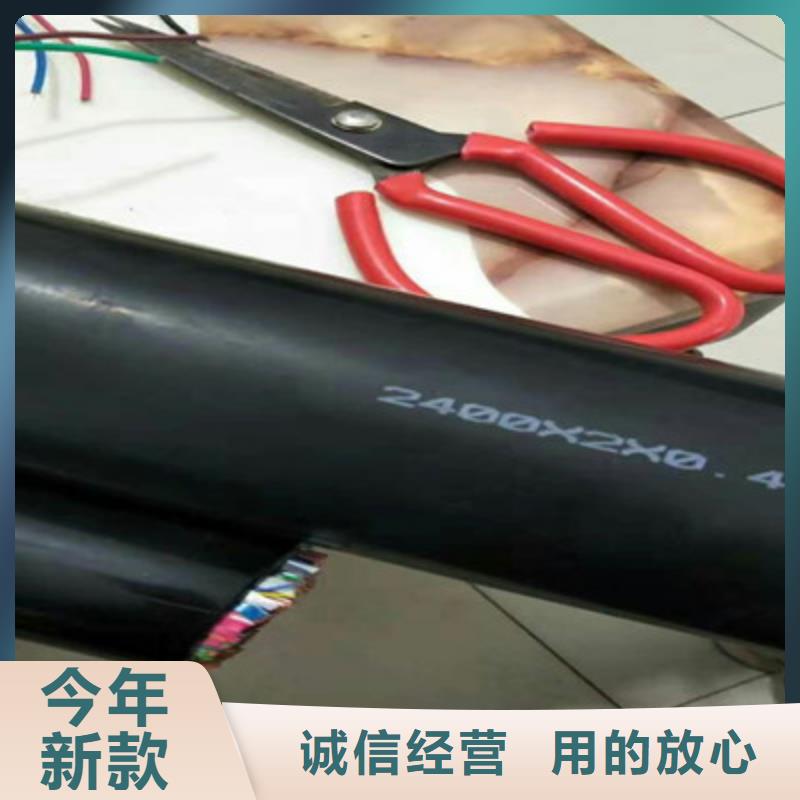 通信電纜【屏蔽電纜】工藝精細質保長久當地生產廠家