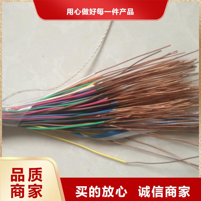 鎧裝DP通訊線商丘2對0.75