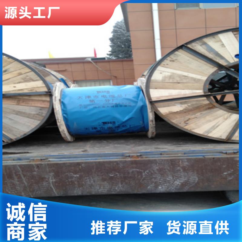ZRA-HSGWPP22 2X5L阻燃網線寧夏6對2.5