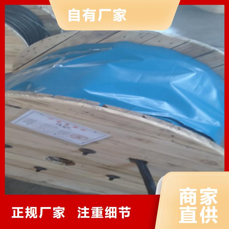 鎧裝通訊電纜ASTP-1203芯1.5規(guī)格型號全