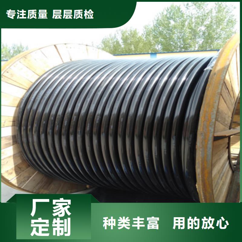 鎧裝DP通訊線商丘2對0.75