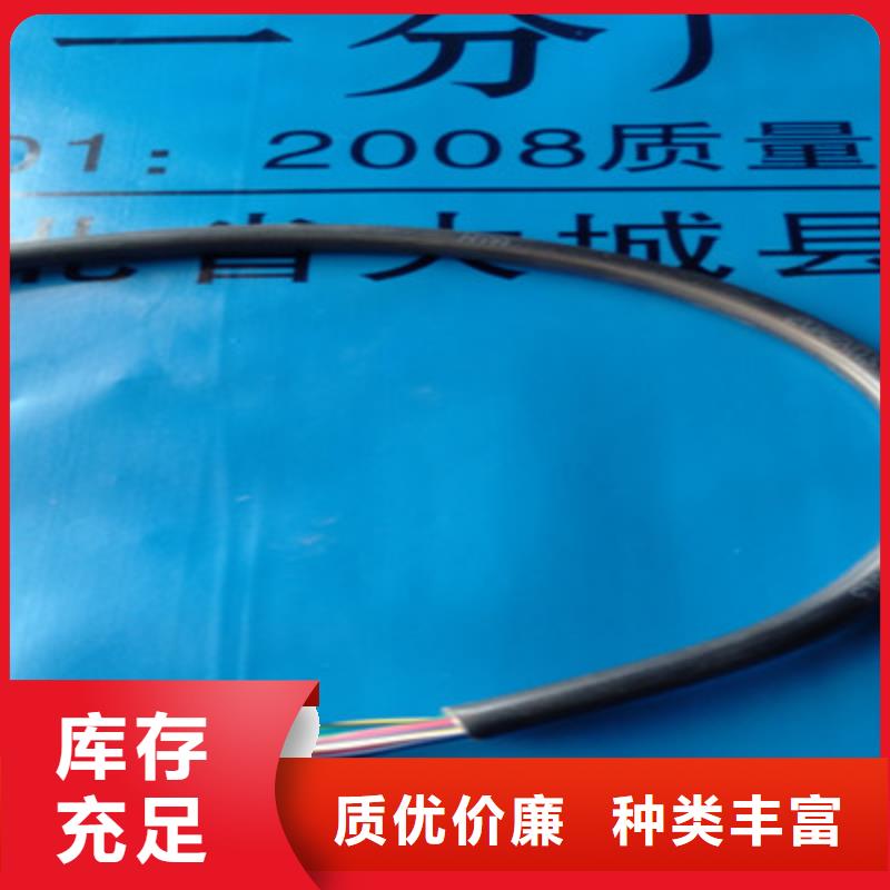 ZRA-HSGWPP22 2X5L阻燃網線寧夏6對2.5