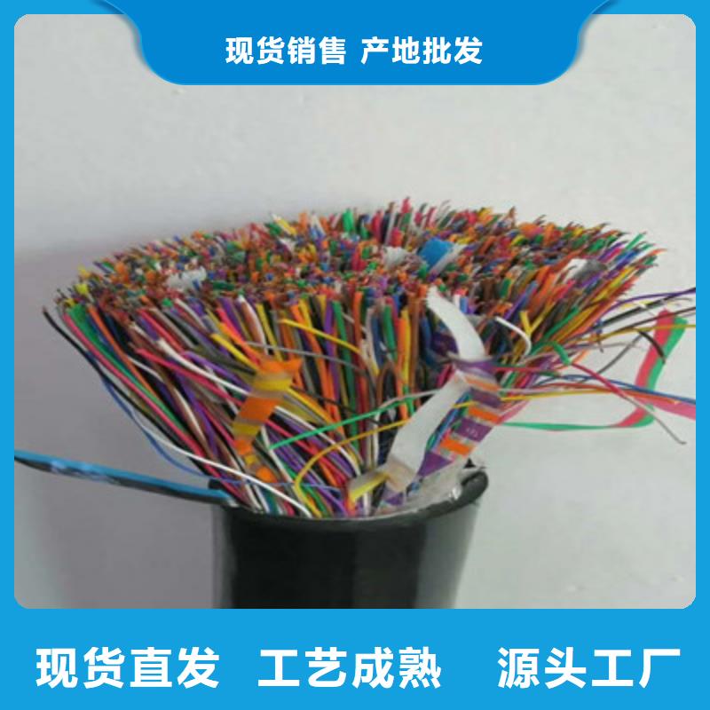 通訊電纜6XV18303對1.0實體誠信廠家