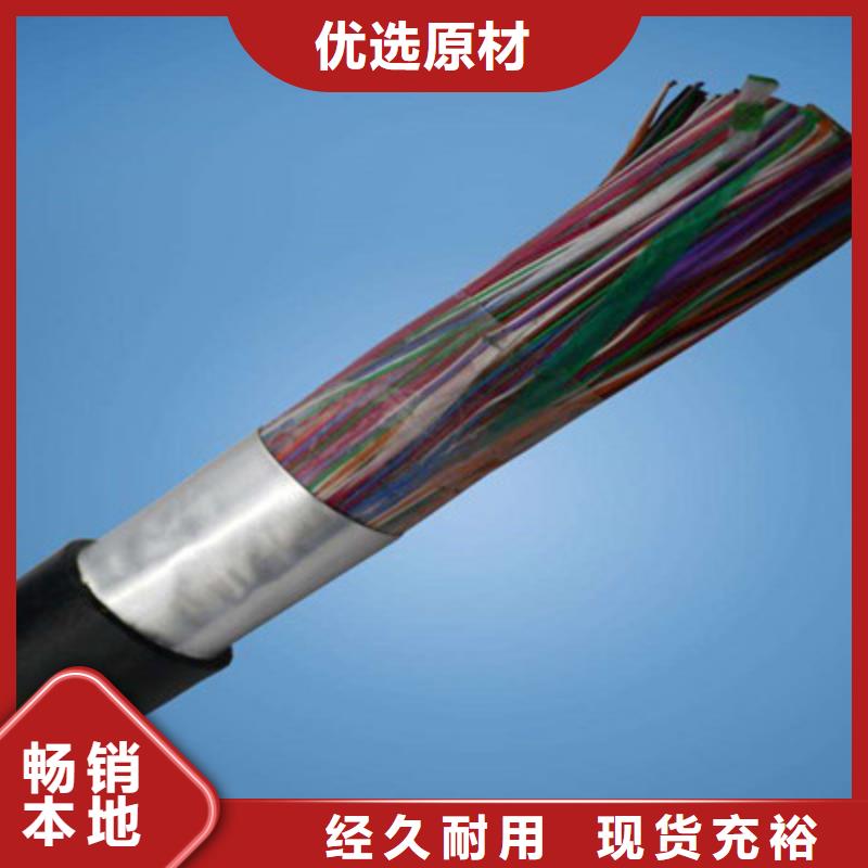山西GS-HTPVRS屏蔽電纜為您介紹