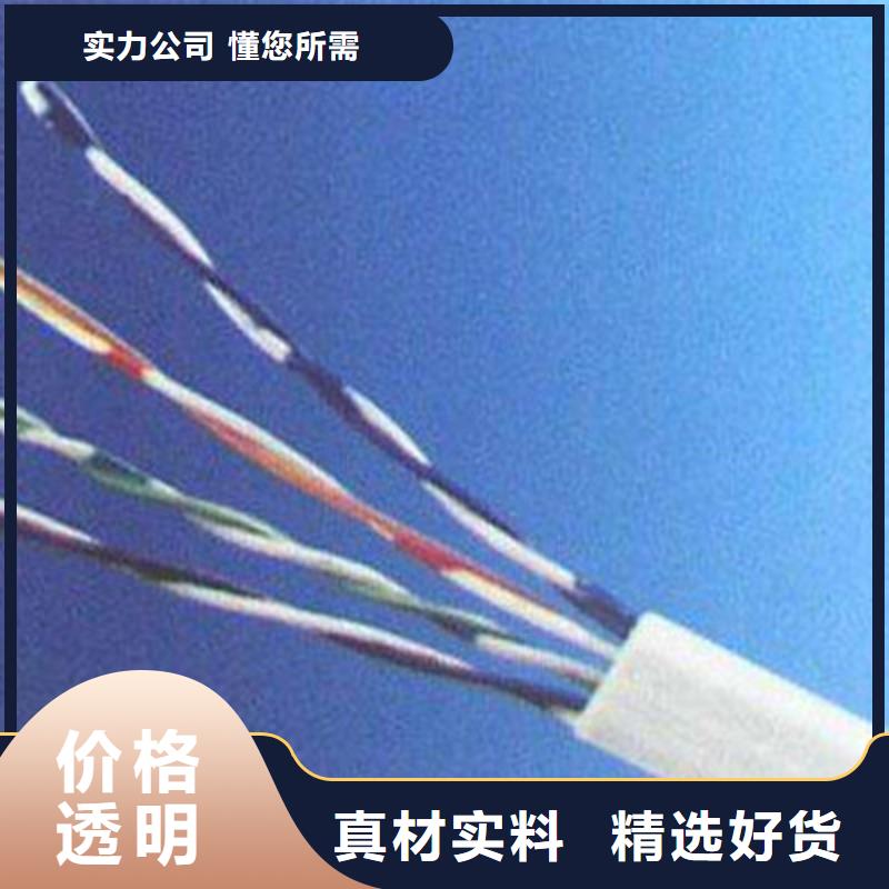 CAN -BUS通訊線(xiàn)纜黔西南12X0.3
