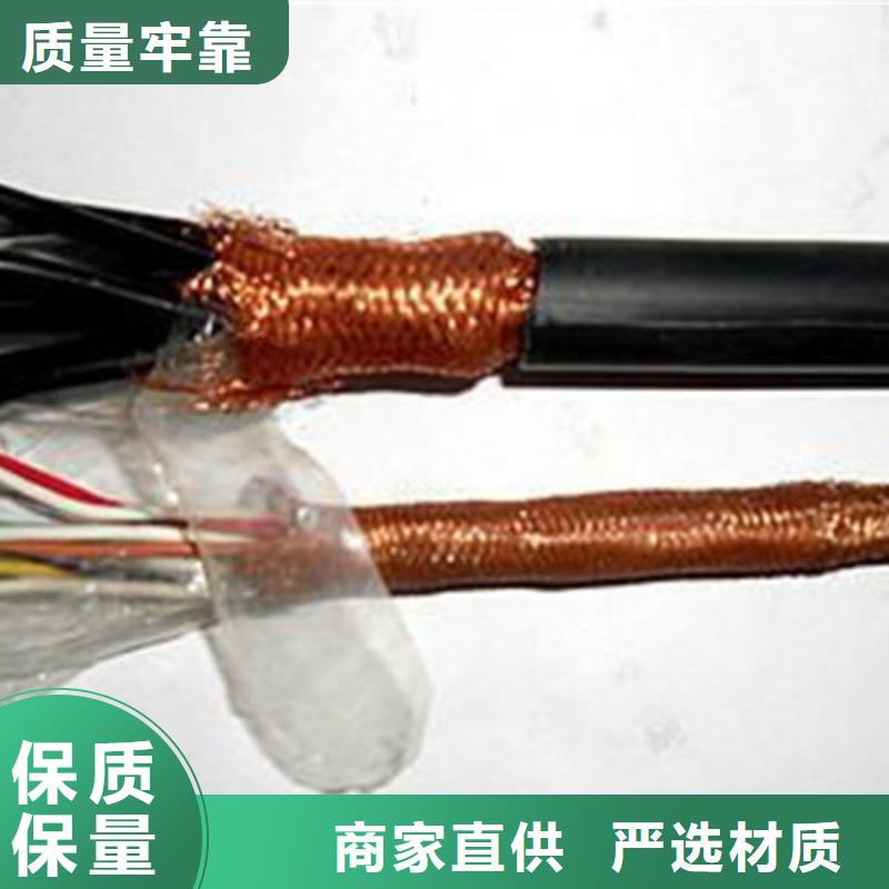 遼源低煙無鹵計算機電纜WDZ-DJVP1V-TR 5X2X1.5