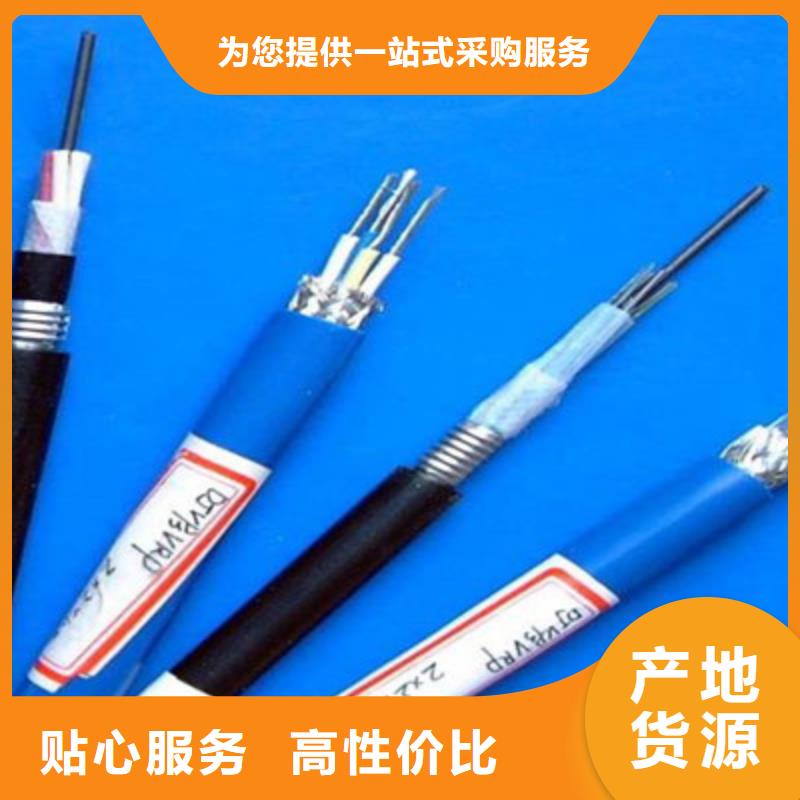 2025價(jià)格優(yōu)惠#鎧裝計(jì)算機(jī)電纜DJYJP3V22#本地廠家同城服務(wù)商