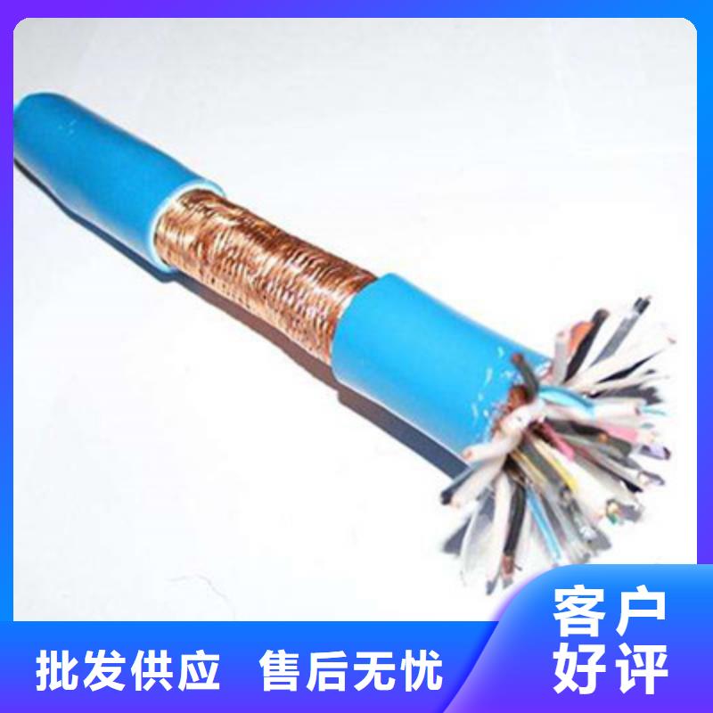 ZR-DJVVP2R阻燃計算機電纜批發廠家當地公司