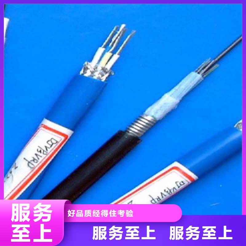 武威鎧裝計(jì)算機(jī)電纜DJYJP2V 直供廠家