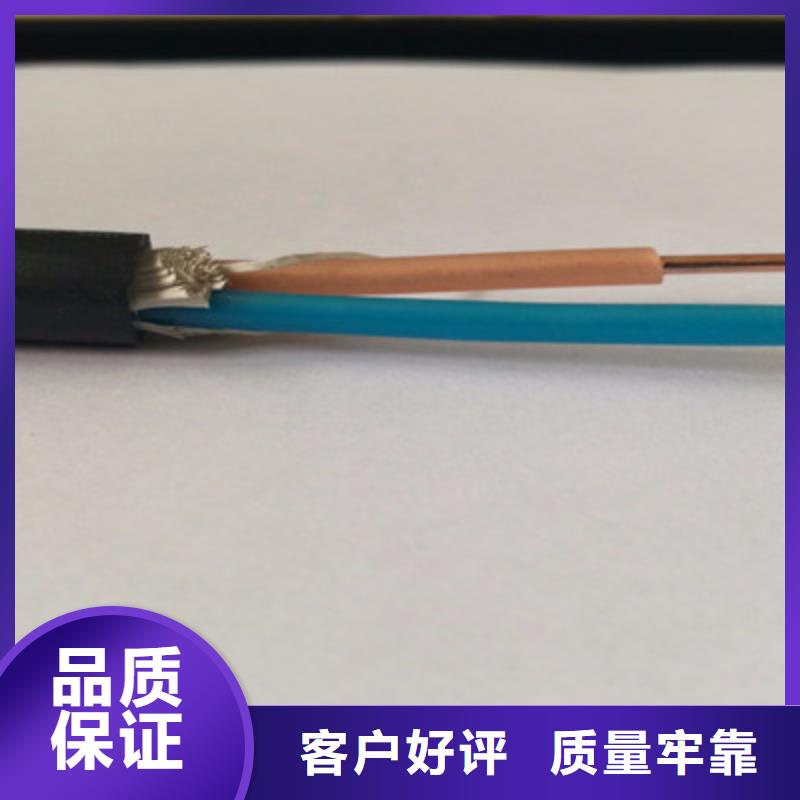 低煙無鹵計算機電纜WDZ-DJVP1V-TR5X2X1.5支持定制