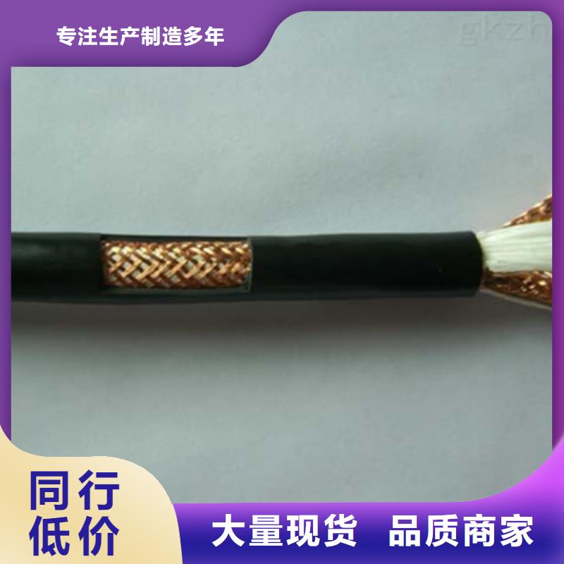 質(zhì)優(yōu)價廉的計算機屏蔽電纜DJYVP生產(chǎn)廠家真誠合作