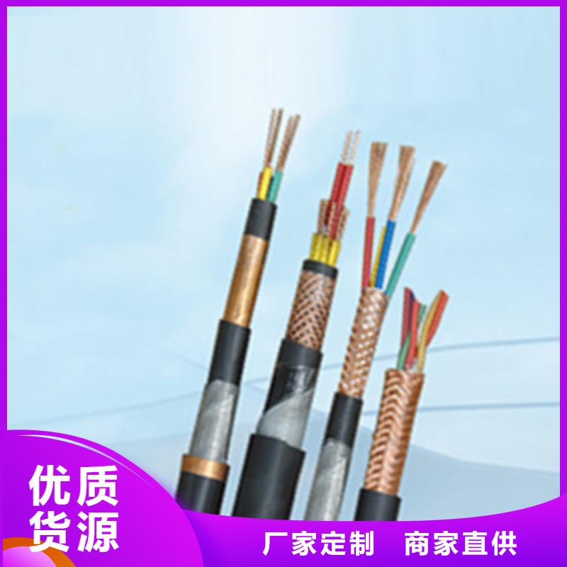PRVZP-1-F屏蔽電纜1X2X1.5當地公司