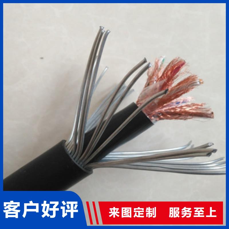 遼源低煙無鹵計算機電纜WDZ-DJVP1V-TR 5X2X1.5
