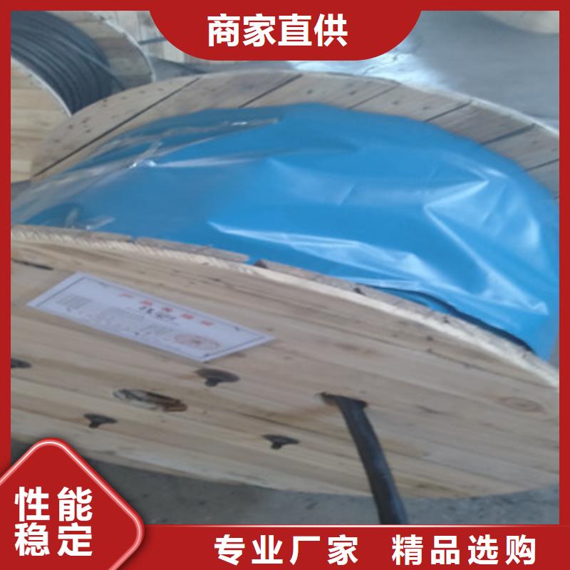 計算機電纜,屏蔽電纜以質量求生存真實拍攝品質可靠