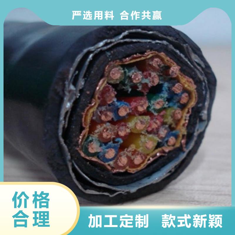 ZR-DJYVP2阻燃計算機電纜生產(chǎn)廠家-價格實惠產(chǎn)地貨源