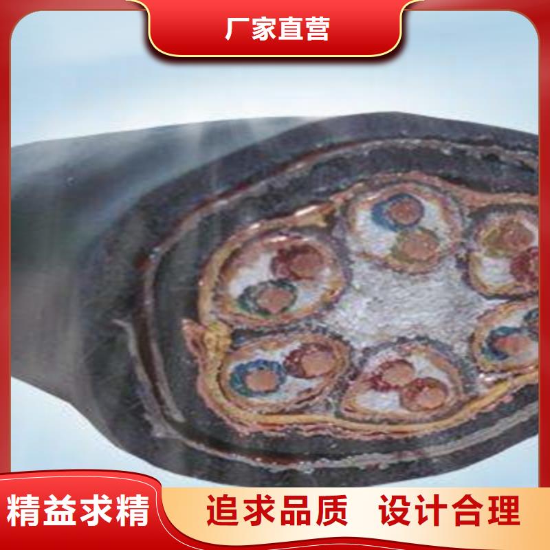 計算機電纜通信電纜現貨實拍專業廠家
