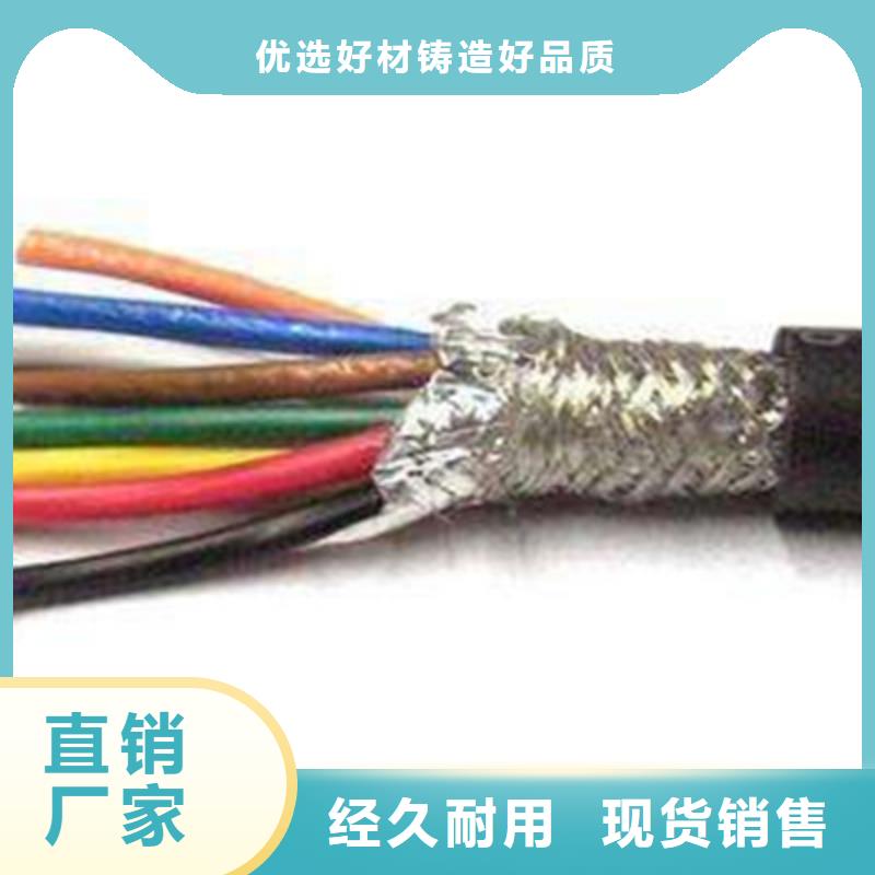 武威鎧裝計(jì)算機(jī)電纜DJYJP2V 直供廠家