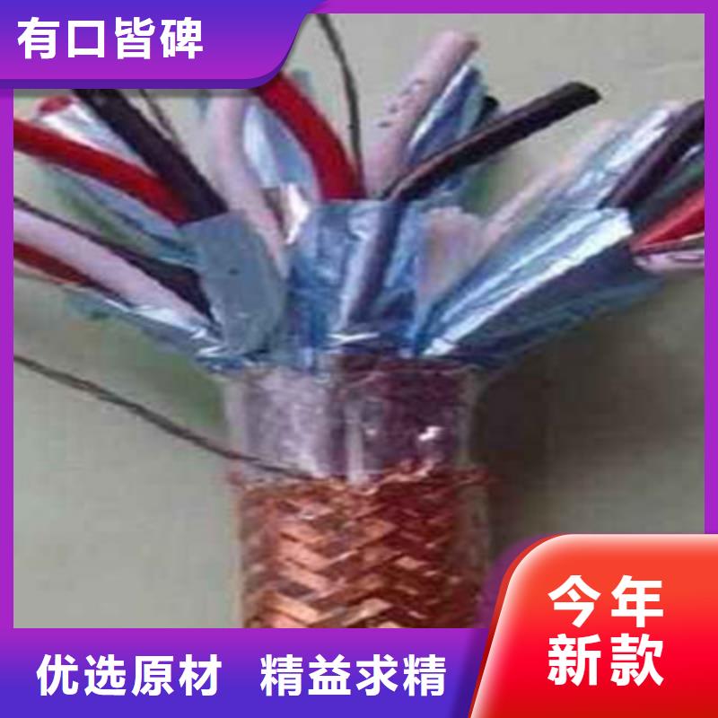 NH-DJYJPVR耐火計算機電纜24X2X0.75當地生產廠家