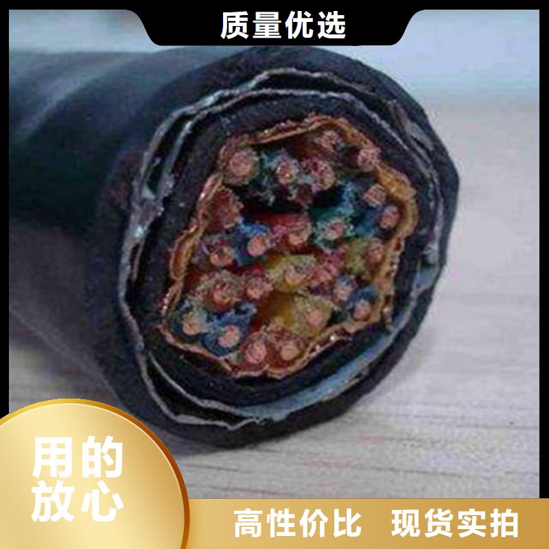 ZR-DJYVP2阻燃計算機電纜 生產廠家-價格實惠