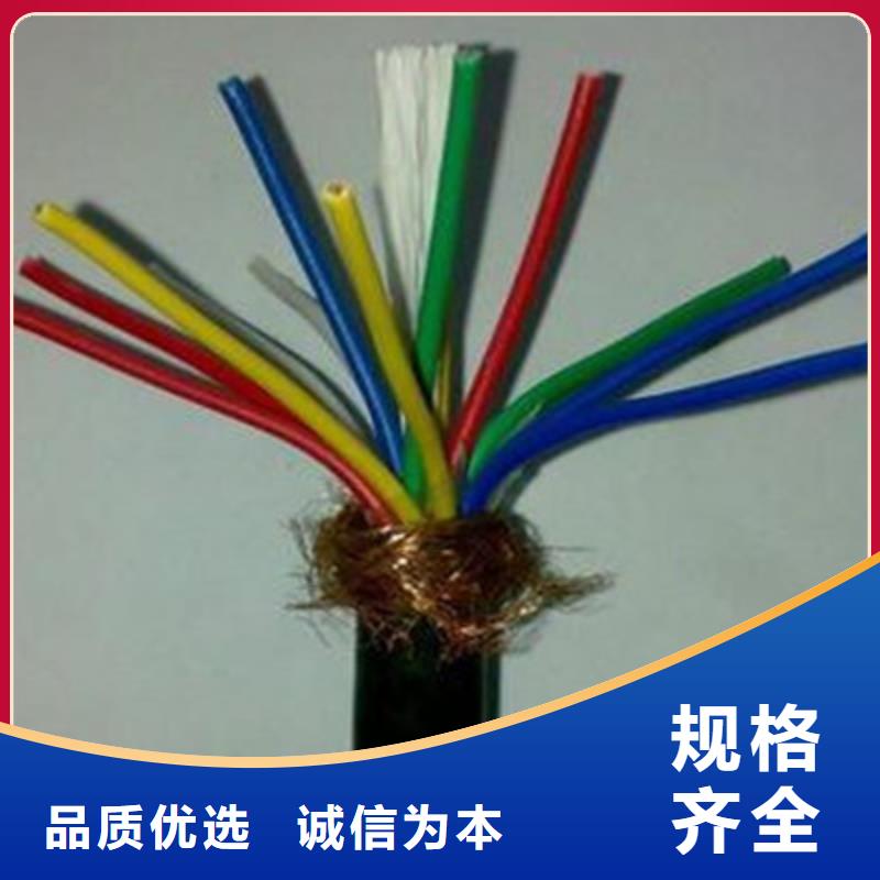 計(jì)算機(jī)電纜電纜生產(chǎn)廠家48小時(shí)發(fā)貨同城生產(chǎn)商