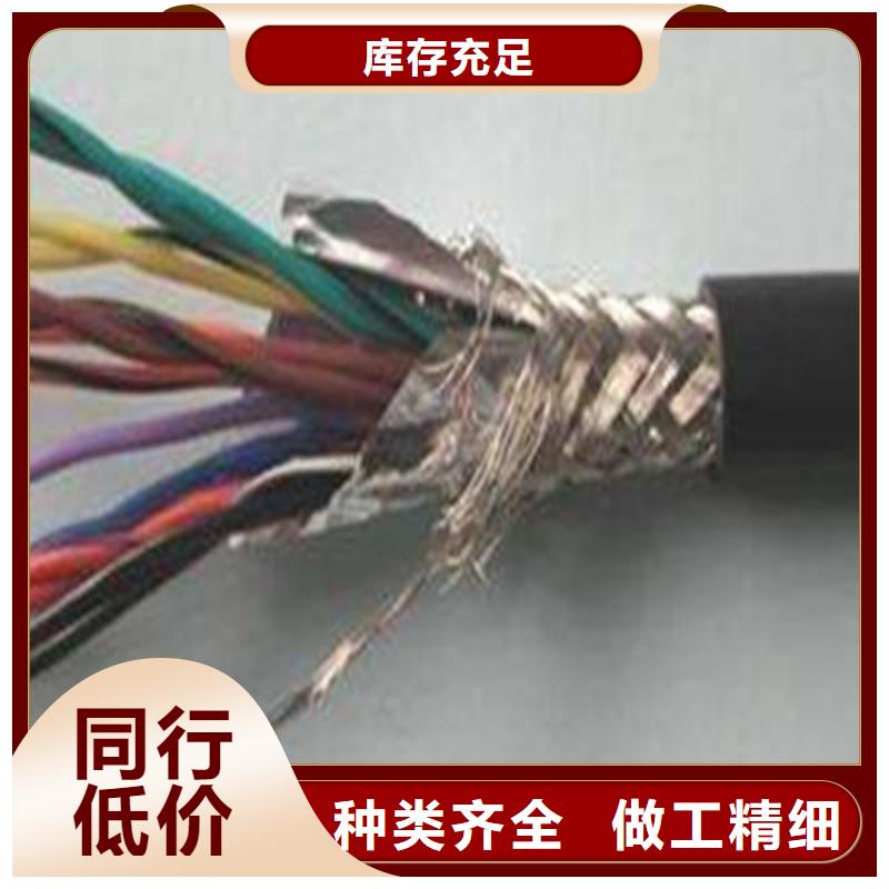 四川DJYPVP 鎧裝計算機電纜10X2X0.75